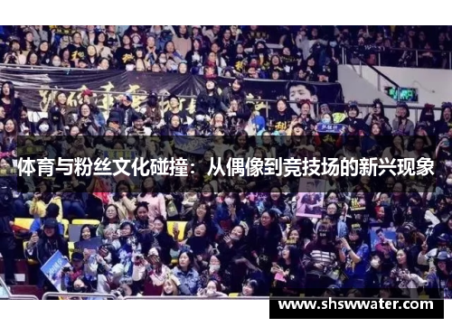 体育与粉丝文化碰撞:从偶像到竞技场的新兴现象 体育与粉丝文化碰撞:从偶像到竞技场的新兴现象
