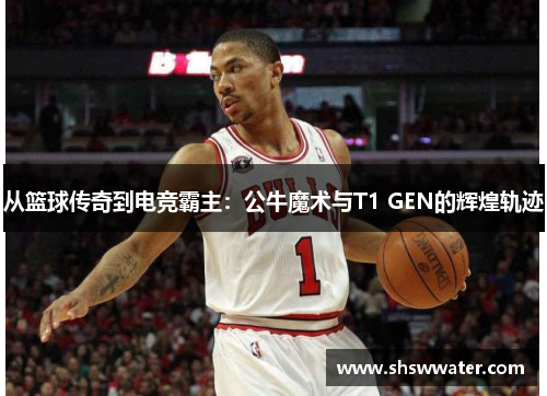 从篮球传奇到电竞霸主:公牛魔术与T1 GEN的辉煌轨迹 从篮球传奇到电竞霸主:公牛魔术与T1 GEN的辉煌轨迹