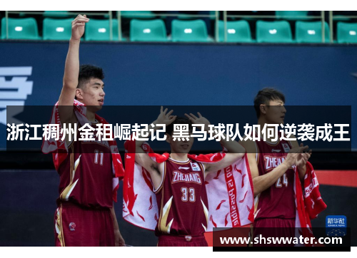 浙江稠州金租崛起记 黑马球队如何逆袭成王 浙江稠州金租崛起记 黑马球队如何逆袭成王