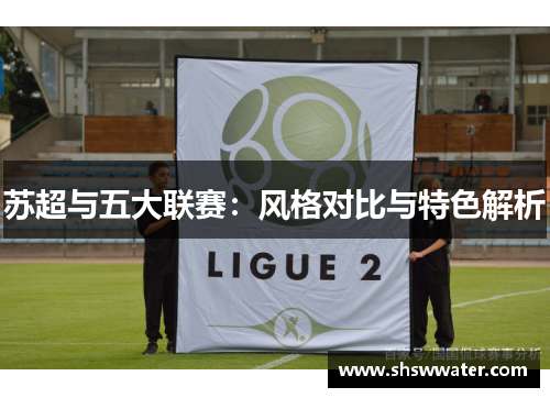 苏超与五大联赛:风格对比与特色解析 苏超与五大联赛:风格对比与特色解析